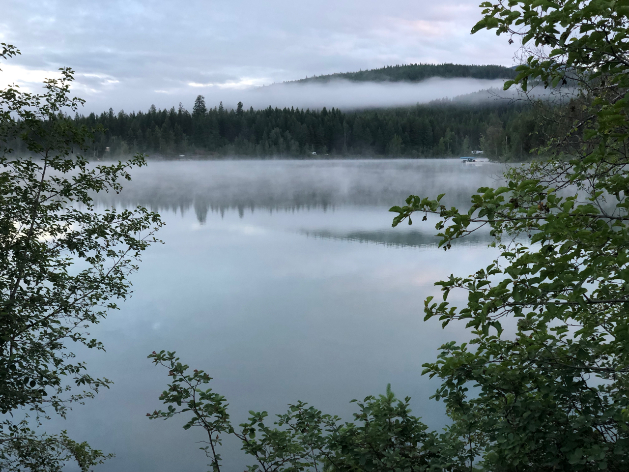Flathead National Forest